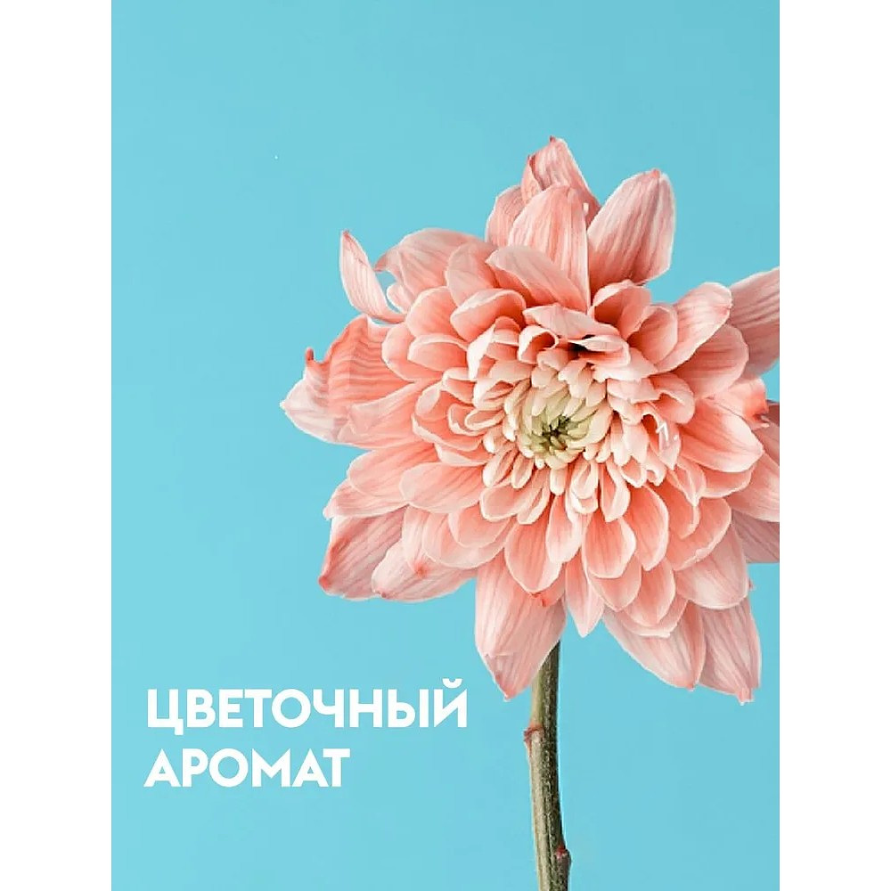 Средство чистящее для туалетных и ванных комнат "Dutybox", экологичное, с триггером, 500 мл - 3