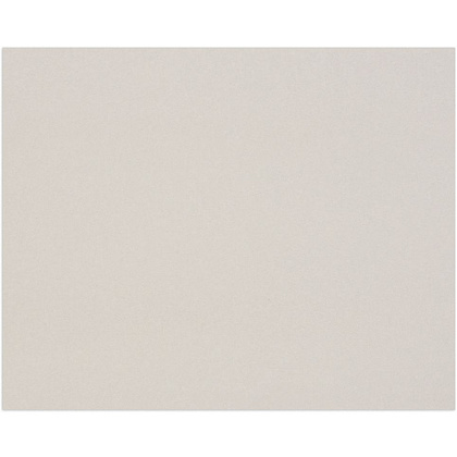 Картон художественный " Clairefontaine", 60x80 см, 3 мм, 1920 г/м2, серый - 2