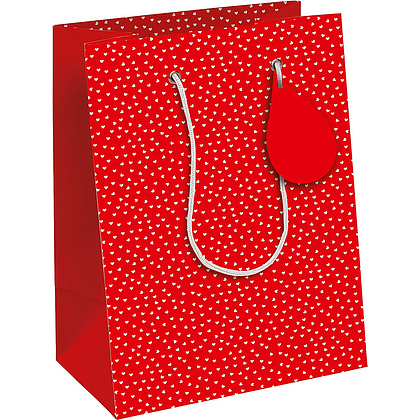 Пакет бумажный подарочный "Excellia. Hearts", 21.5x10.2x25.3 см 