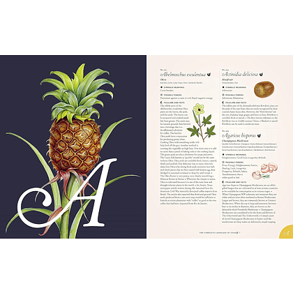 Книга на английском языке "The Complete Language of Food", Dietz S. T. - 5
