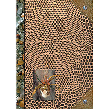 Книга канцелярская "Камешки", А4, 96 листов, клетка, коричневый