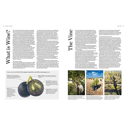 Книга на английском языке "World atlas of wine 8th edition", Hugh Johnson, Jancis Robinson - 2