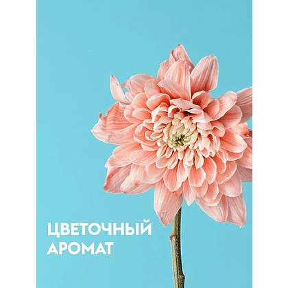 Средство чистящее для туалетных и ванных комнат "Dutybox", экологичное, с триггером, 500 мл - 3