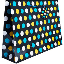 Пакет бумажный подарочный "Разнообразие",17.8x22.9x9.8 см, ассорти