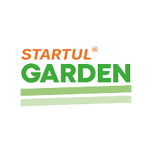 Startul Garden