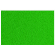 Бумага для пастели "Tiziano", А4, 160 г/м2, зеленый темный