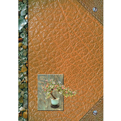 Книга канцелярская "Камешки", А4, 96 листов, клетка, коричневый