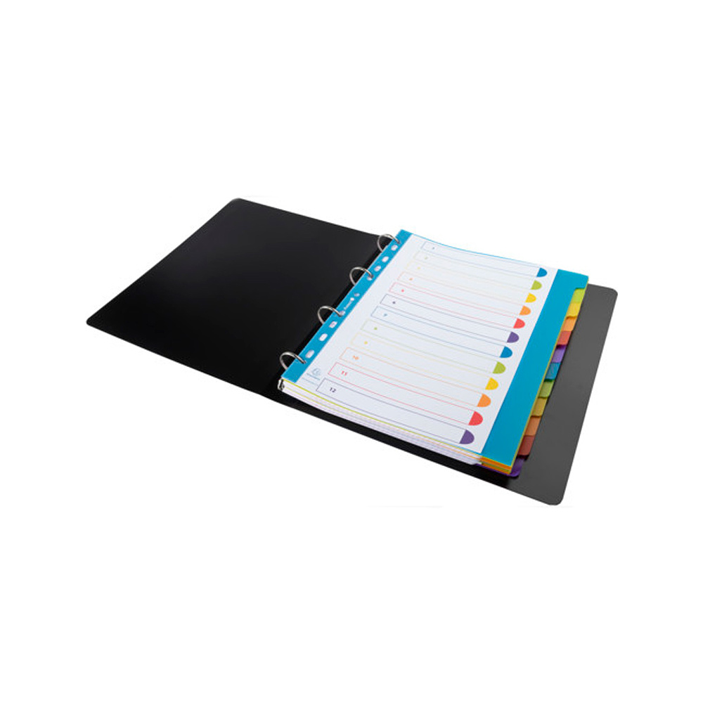 Разделитель на 12 делений, A4, ассорти - 4