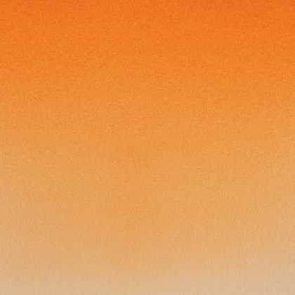 Краски акварельные Белые ночи, 217 золотистая темная, 10мл., туба - 3