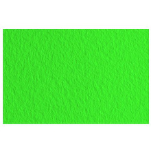 Бумага для пастели "Tiziano", А4, 160 г/м2, зеленый 