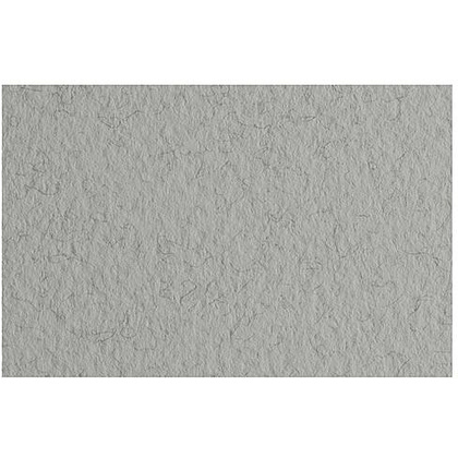 Бумага для пастели "Tiziano", 50x65 см, 160 г/м2, серый холодный