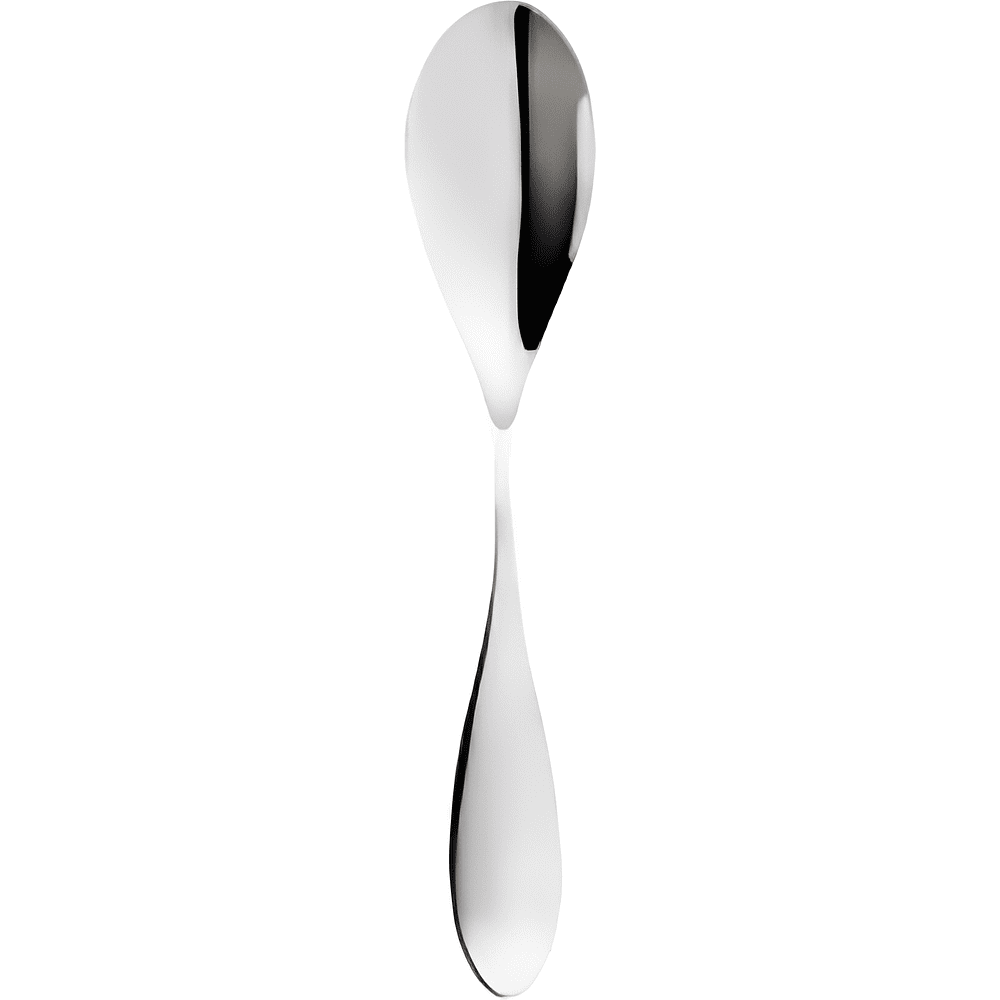 Набор чайных ложек "WL-999404 Ilona", 2 шт, металл, серебристый