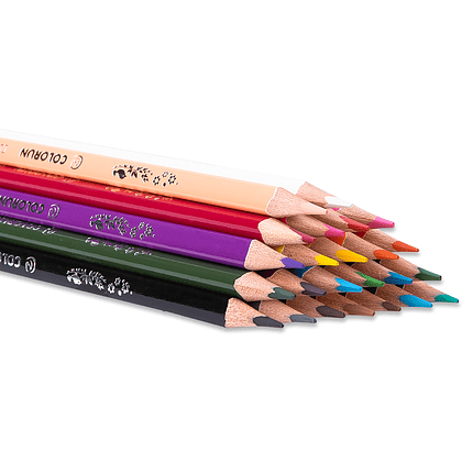 Цветные карандаши "ColoRun", 24 цвета - 4