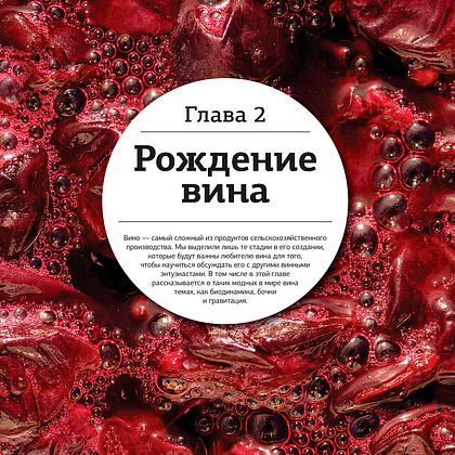 Книга "Просто о лучших винах. Новая энциклопедия" - 24