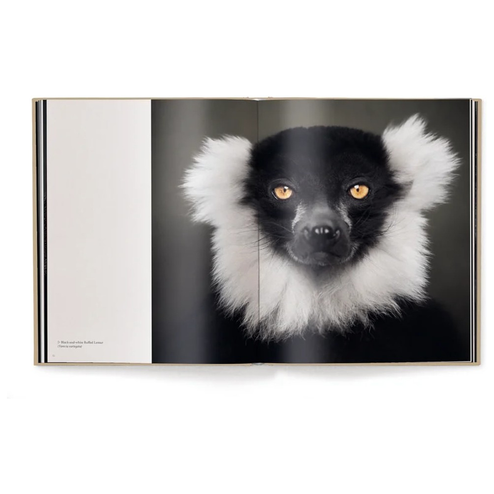 Книга на английском языке "Between Us. Animal Portraits" HB, Vincent Lagrange - 3