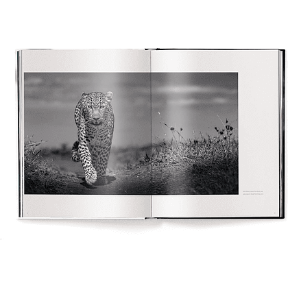 Книга на английском языке "Beusker. Look into my Eyes" HB, Lars Beusker - 2
