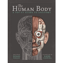 Книга на английском языке "The Human"