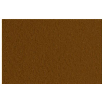 Бумага для пастели "Tiziano", 50x65 см, 160 г/м2, кофейный