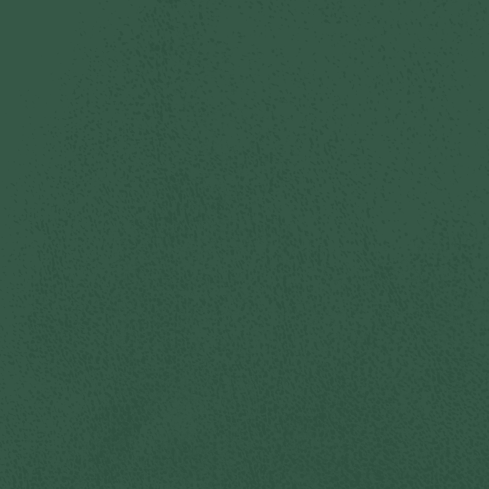 Тетрадь "Зеленый", А4, 96 листов, клетка, скоба сбоку, зеленый - 4