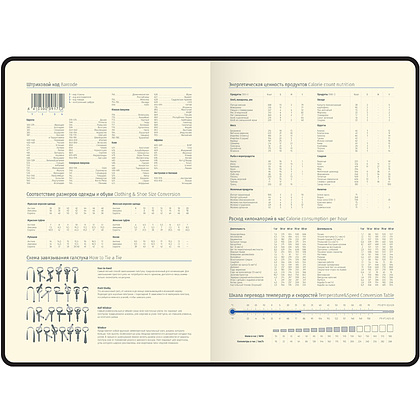 Ежедневник недатированный "xGold", А5, 320 страниц, черный - 6