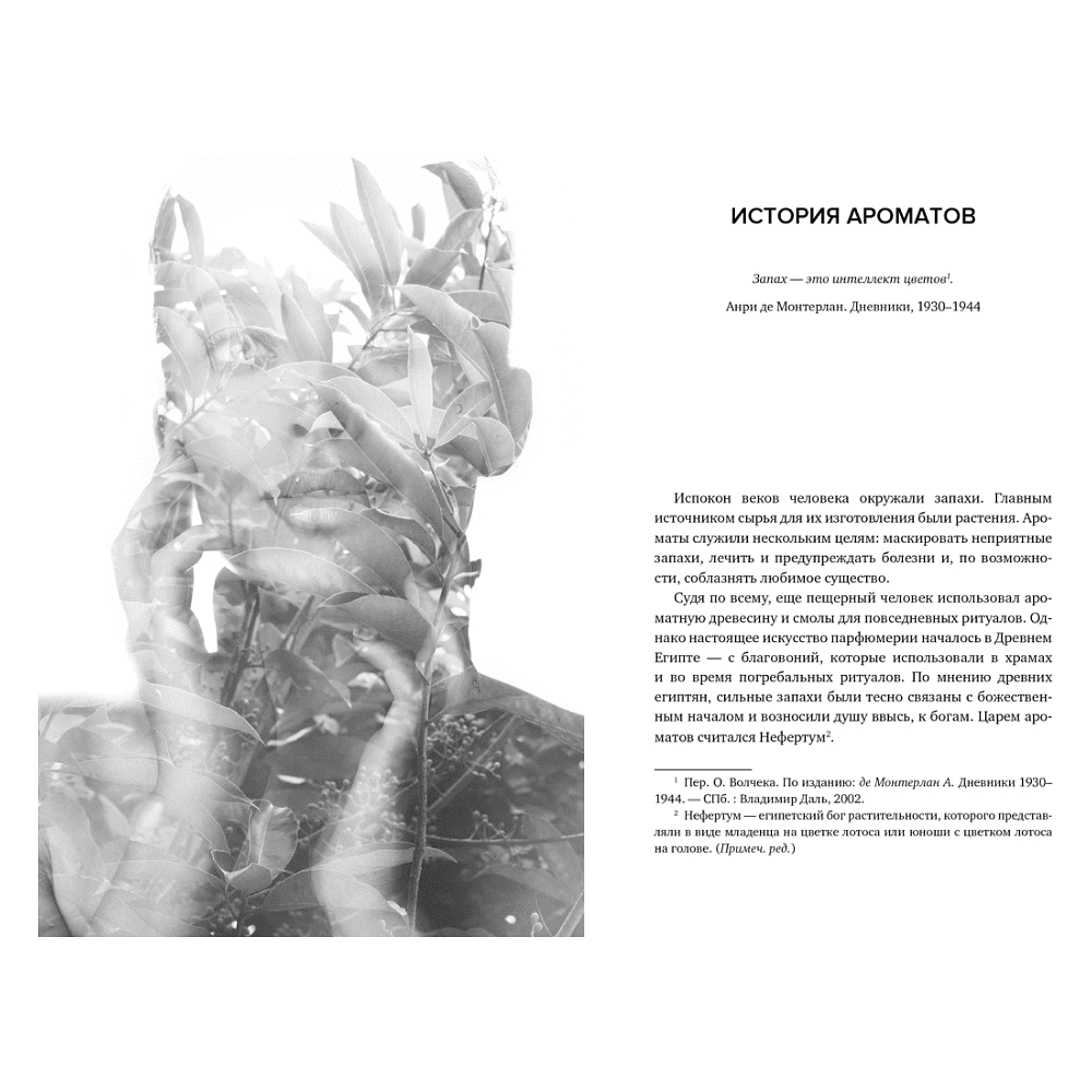 Книга "Нос. Секреты парфюмера Guerlain", Делакурт С. - 6