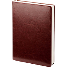 Ежедневник датированный "Berlin", А5, коричневый, 2026