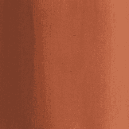 Краски гуашевые "Сонет", 419 коричневая, 40 мл., банка - 3