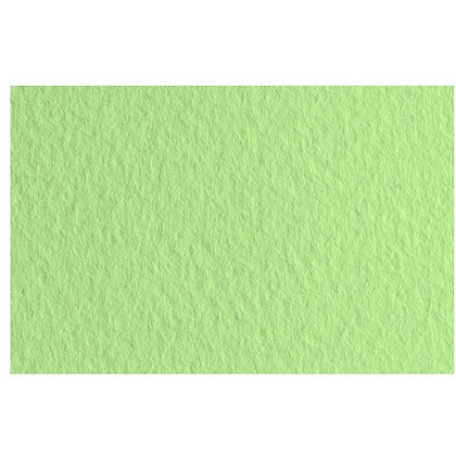 Бумага для пастели "Tiziano", 50x65 см, 160 г/м2, салатовый теплый