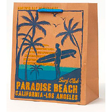 Пакет бумажный подарочный "Путешествие", 33x45.7x10.2 см, ассорти