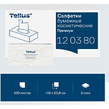 Салфетки косметические Tellus Премиум, 100шт/уп, FT1