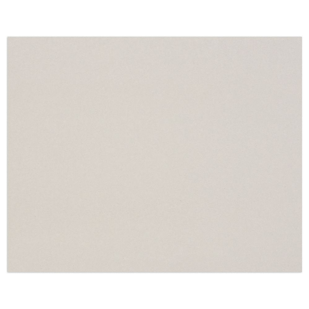 Картон художественный " Clairefontaine", 60x80 см, 3 мм, 1920 г/м2, серый - 2