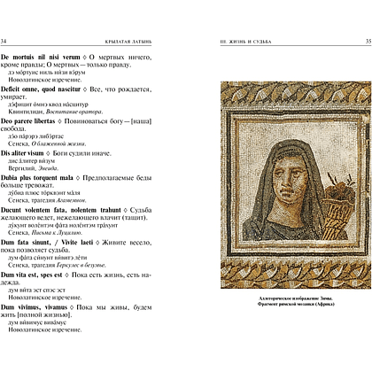 Книга "Крылатая латынь. Цитаты. Пословицы. Надписи. Девизы. Эпитафии", Константин Душенко, Григорий Багриновский - 4