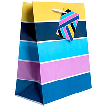 Пакет бумажный подарочный "Насыщенность", 17.8x22.9x9.8 см, ассорти