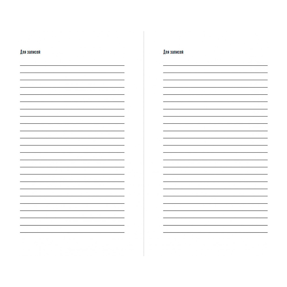 Дневник "Дневник впечатлений на 5 лет: 5 строчек в день (бутоны)" - 12