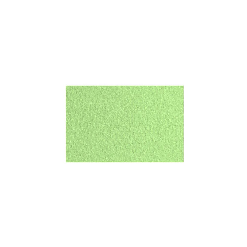 Бумага для пастели "Tiziano", 50x65 см, 160 г/м2, салатовый теплый