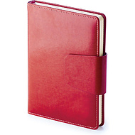 Ежедневник недатированный 