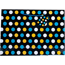 Пакет бумажный подарочный "Разнообразие",17.8x22.9x9.8 см, ассорти