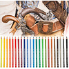 Карандаши цветные "Polychromos", 12 шт., в металлической упаковке - 2