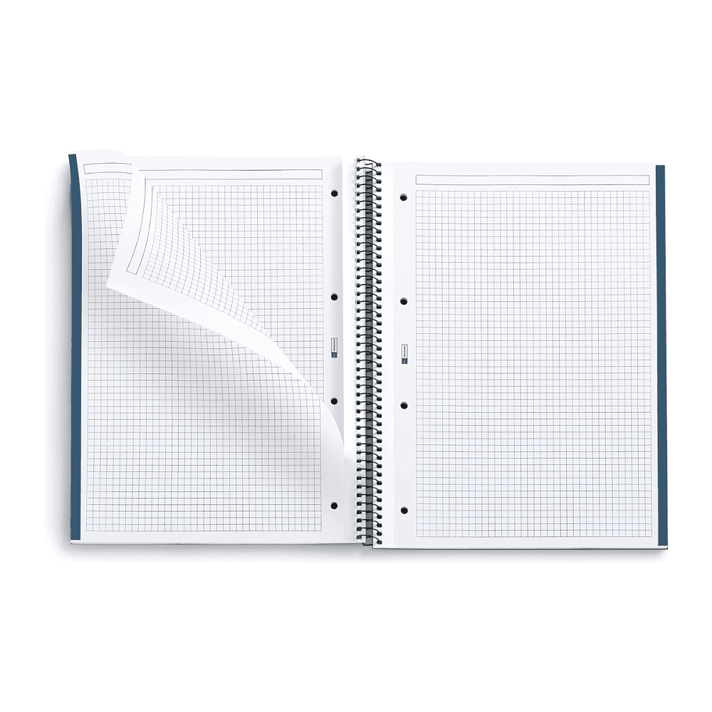 Тетрадь Miquelrius "Ocean", А4, 80 листов, клетка, синий - 3