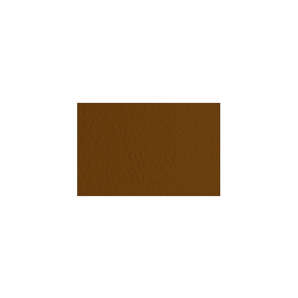 Бумага для пастели "Tiziano", А4, 160 г/м2, кофейный 