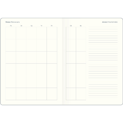 Ежедневник недатированный InFolio "Care", A5, 192 страницы, линованный, голубой  - 5