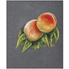 Блок бумаги для пастели "PastelGrain" 4 оттенка, 24х30см, 360 г, 12 листов, №1 - 5