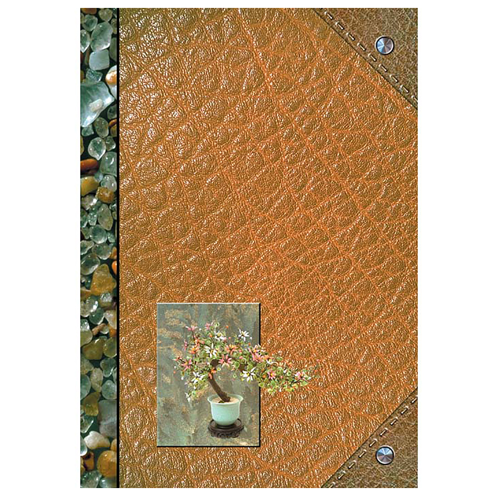 Книга канцелярская "Камешки", А4, 96 листов, клетка, коричневый