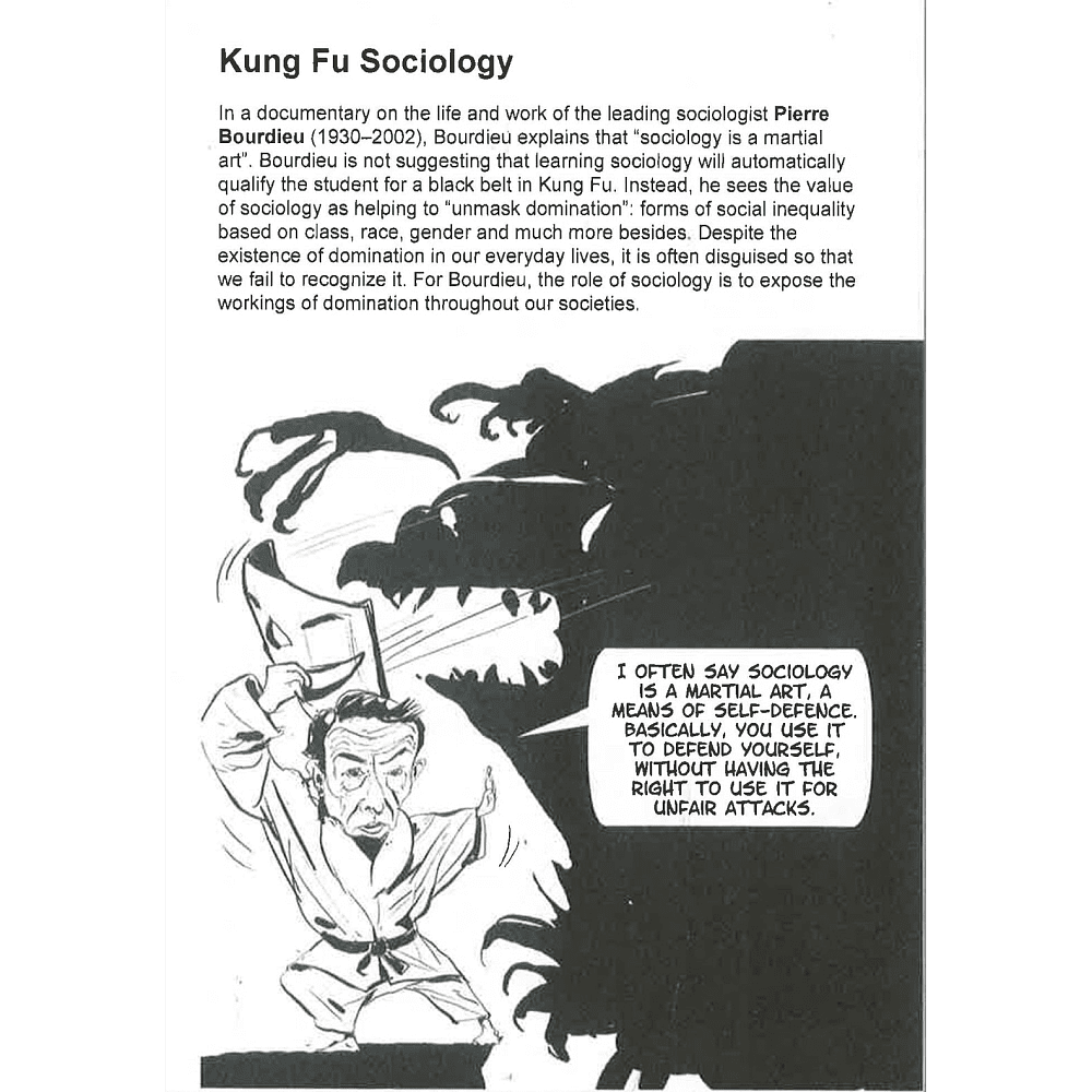 Книга на английском языке "Introducing Sociology: A Graphic Guide", John Nagle, Piero - 4