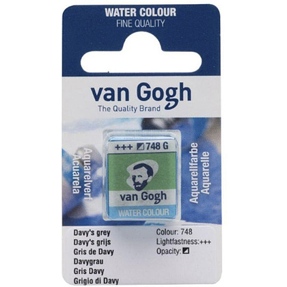 Краски акварельные "Van Gogh", 748 серый океан, кювета