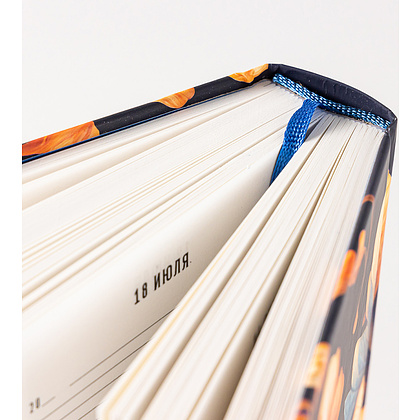 Дневник "Дневник впечатлений на 5 лет: 5 строчек в день (бутоны)" - 9