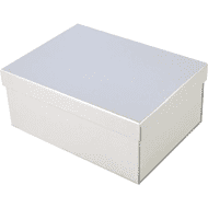 Коробка картонная, 220х160х95 мм, серебро