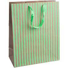 Пакет бумажный подарочный "Полоски"