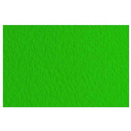 Бумага для пастели "Tiziano", 50x65 см, 160 г/м2, зеленый темный