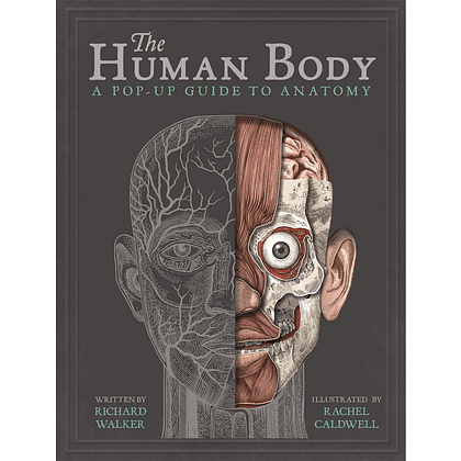 Книга на английском языке "The Human", Richard Walker